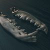 Coyote Jawbone Ear weights - Image 2